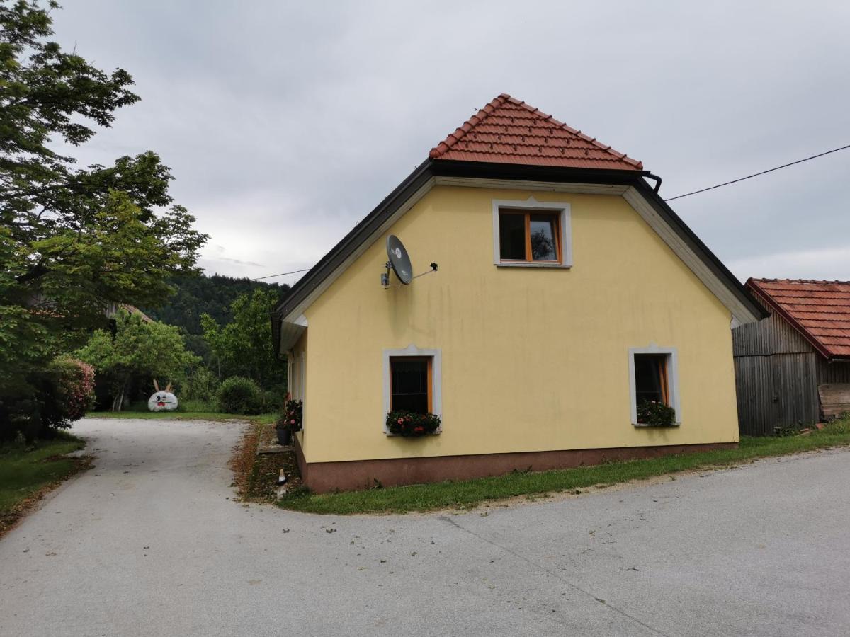 Malina Apartment Vransko ภายนอก รูปภาพ